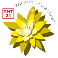 TNT 21