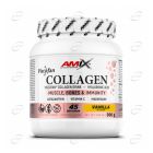 VISCOFAN COLLAGEN DRINK пудра AMIX