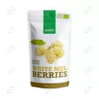 БИО БЯЛА ЧЕРНИЦА пудра PURASANA