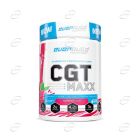 CGT MAXX пудра EVERBUILD