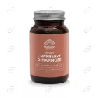 ЧЕРВЕНА БОРОВИНКА + D МАНОЗА с екстракт от МЕЧО ГРОЗДЕ таблетки Mattisson Healthstyle