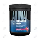 CREATINE HMB+ пудра UNIVERSAL ANIMAL