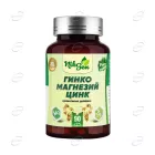 ГИНКО + МАГНЕЗИЙ И ЦИНК капсули Niksen