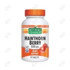 HAWTHORN BERRY таблетки BOTANIC CHOICE