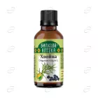 ХВОЙНА тинктура BIOHERBA