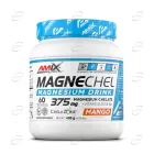 MagneChel прах AMIX