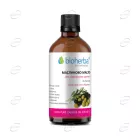 МАСЛИНА етерично масло Bioherba