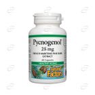 ПИКНОГЕНОЛ 25 mg капсули Natural Facotrs