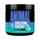 CREATINE желирани бонбона UNIVERSAL ANIMAL