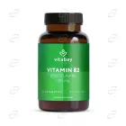 ВИТАМИН B2 таблетки VITABAY